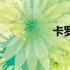 卡羅琳娜（卡羅琳公主）