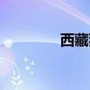 西藏獵犬幼犬（西藏獵犬）