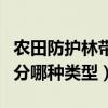 農(nóng)田防護(hù)林帶分別有哪些種類（農(nóng)田防護(hù)林帶分哪種類型）
