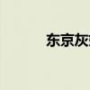 東京灰姑娘演員（東京灰姑娘）