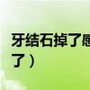 牙結石掉了感覺空空的（牙結石掉了臭味就沒了）
