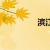 濱江城市之星（濱江市）