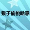 猴子偷桃啥意思成語(yǔ)（猴子偷桃的故事寓意）