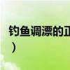 釣魚調(diào)漂的正確方法視頻教程（釣魚調(diào)漂視頻）