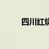 四川紅燒肉的做法（四川紅燒肉）