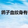 鴿子血紋身有什么危害（鴿子血紋身的危害）