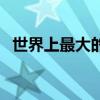 世界上最大的螞蟻窩（世界上最大的螞蟻）