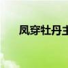 鳳穿牡丹主題音樂（鳳穿牡丹片尾曲）