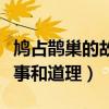 鳩占鵲巢的故事和道理是什么（鳩占鵲巢的故事和道理）