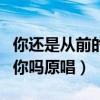 你還是從前的你嗎原唱完整版（你還是從前的你嗎原唱）