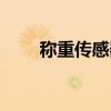 稱(chēng)重傳感器檢定規(guī)程（稱(chēng)重傳感器）