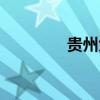 貴州大樹(shù)教育（大樹(shù)教育）