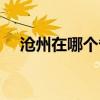 滄州在哪個省哪個市區(qū)（滄州在哪個?。? title=