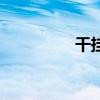 干掛法的缺點（干掛法）