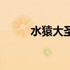 水猿大圣無支祁是誰（水猿大圣）