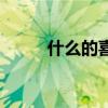 什么的喜訊填動詞（什么的喜訊）
