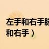 左手和右手脈搏跳動(dòng)不一樣是怎么回事（左手和右手）