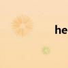 helper翻譯（helper）