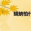 蛾蚋怕什么動物（蛾蚋最怕什么）