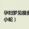 孕婦夢(mèng)見很多小蛇是生男生女（孕婦夢(mèng)見很多小蛇）