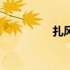 扎風(fēng)箏怎么讀（扎風(fēng)箏）