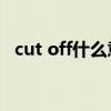 cut off什么意思中文（cut什么意思中文）