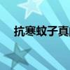 抗寒蚊子真的假的(抗寒蚊子是真的嗎) 抗寒蚊子真的假的(抗寒蚊子是真的嗎)