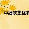 中細(xì)軟集團(tuán)有限公司（中細(xì)軟集團(tuán)靠譜嗎）