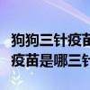 狗狗三針疫苗是哪三針?lè)謩e多少錢(qián)（狗狗三針疫苗是哪三針）
