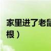 家里進了老鼠該怎么辦（家里進了老鼠怎么除根）