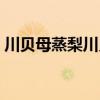 川貝母蒸梨川貝母能一起吃嗎（川貝母蒸梨）