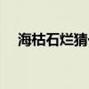 ?？菔癄€猜一動物（海枯石爛打一生肖）