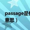 passage是什么意思英語翻譯（passages的意思）