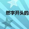 燃字開頭的成語大全（燃字開頭的成語）