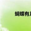 蝴蝶有幾條腿?（蝴蝶有幾條腿）