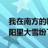 我在南方的艷陽里 大雪紛飛（我在南方的艷陽里大雪紛飛）
