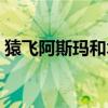 猿飛阿斯瑪和木葉丸什么關(guān)系（猿飛阿斯瑪）