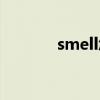 smell怎么讀（smile怎么讀）