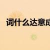 詞什么達(dá)意成語大全（詞什么達(dá)什么成語）