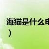 海貓是什么電視劇的人物（海貓是什么電視?。? title=