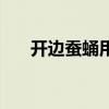 開邊蠶蛹用面粉還是淀粉（開邊蠶蛹）