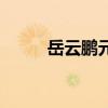 岳云鵬元宵晚會竹板書（竹板書）