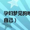 孕婦夢見狗咬自己是生男生女(孕婦夢見狗咬自己) 孕婦夢見狗咬自己是生男生女(孕婦夢見狗咬自己)