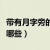 帶有月字旁的字有哪些字（帶有月字旁的字有哪些）