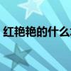 紅艷艷的什么填上合適詞語（紅艷艷的什么）
