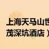 上海天馬山世茂深坑酒店工程（上海天馬山世茂深坑酒店）