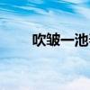 吹皺一池春水謎語(吹皺一池春水) 吹皺一池春水謎語(吹皺一池春水)