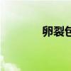 卵裂包括哪幾個階段（卵裂）