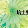 培土生金是什么意思（培土）