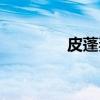 皮蓬妻子愛(ài)誰(shuí)（皮蓬妻子）
